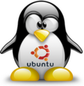 photo Ubuntu 11.04 32 bits