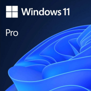 photo Microsoft Windows 11 Professionnel - 64 bits FR avec DVD et certificat d'authenticit