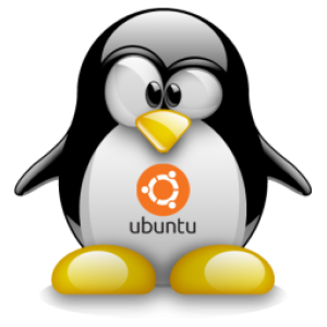 photo Ubuntu 18.04.1 LTS 64 bits sur CD-Rom
