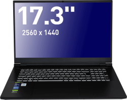 photo Portable sur mesure 17.3" i9 13900HX vido Intel Iris + RTX4070 cran 2560 x 1440